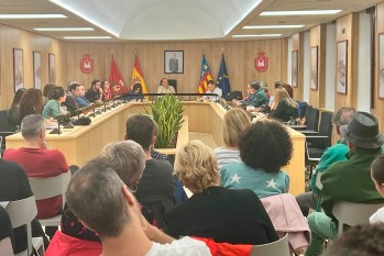 El Consejo Sectorial de Cultura organizar&aacute; en diciembre un evento a beneficio de los afectados por la DANA