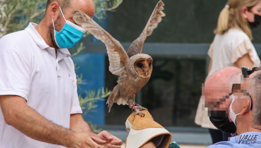 Las aves terapéuticas de Magic Eagle sorprenden a los usuarios de salud mental de Elda Las aves terapéuticas de Magic Eagle sorprenden a los usuarios de salud mental de Elda