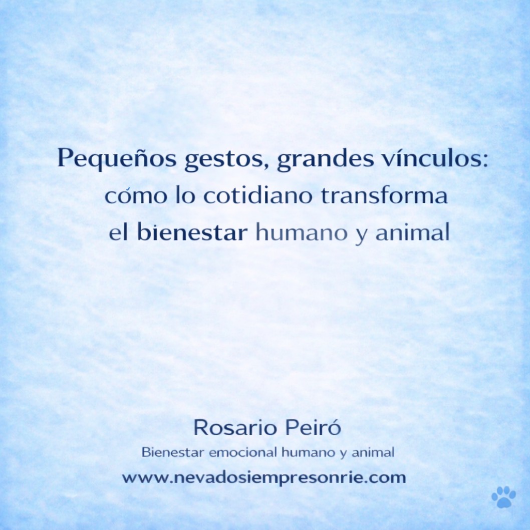 Peque&ntilde;os gestos, grandes v&iacute;nculos: c&oacute;mo lo cotidiano transforma el bienestar humano y animal