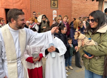 Las mascotas reciben la bendici&oacute;n de San Ant&oacute;n en Petrer