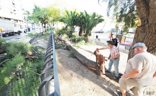 La ca&iacute;da de una rama en el parque de Las 300 deja cinco heridos leves