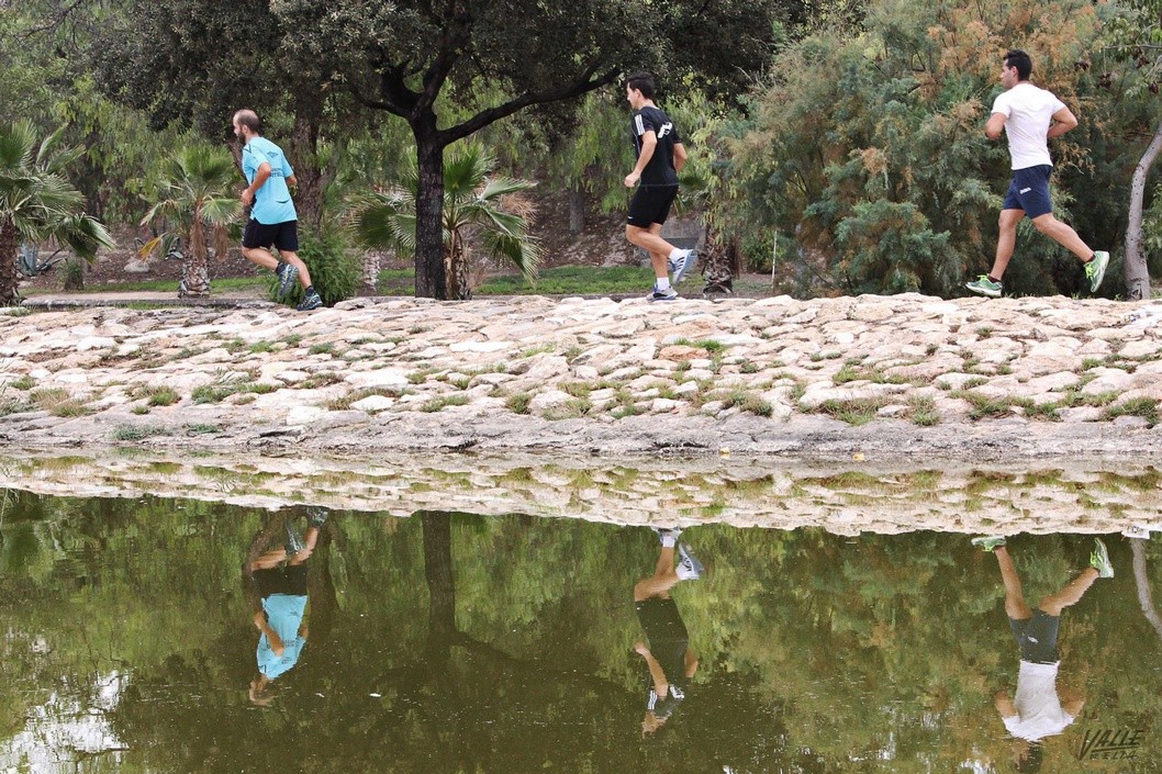 Salir a hacer deporte individual y pasear en familia será posible a partir del 2 de mayo si la evolución es positiva Salir a hacer deporte individual y pasear en familia será posible a partir del 2 de mayo si la evolución es positiva