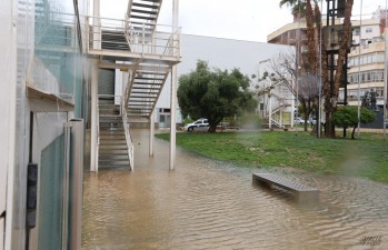 El temporal provoca numerosos incidentes en Elda y Petrer