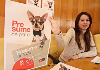 Salud sancionar&aacute; hasta con 600 euros a los due&ntilde;os de animales que dejen sus excrementos en las v&iacute;as p&uacute;blicas