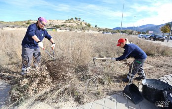 Petrer retira m&aacute;s de 700 bolsas de basura con trabajos de desbroce y limpieza por lo que pide m&aacute;s civismo
