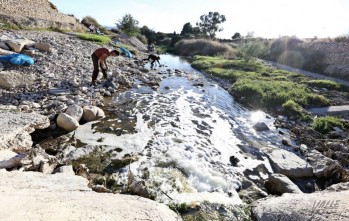 Actividades para cuidar y proteger los parajes naturales de Elda