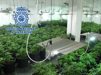 Detienen a siete personas por tr&aacute;fico de drogas y desmantelan tres puntos de venta de marihuana
